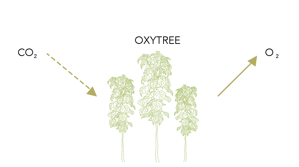 Daria2002021 07 26T00 20 51 341231