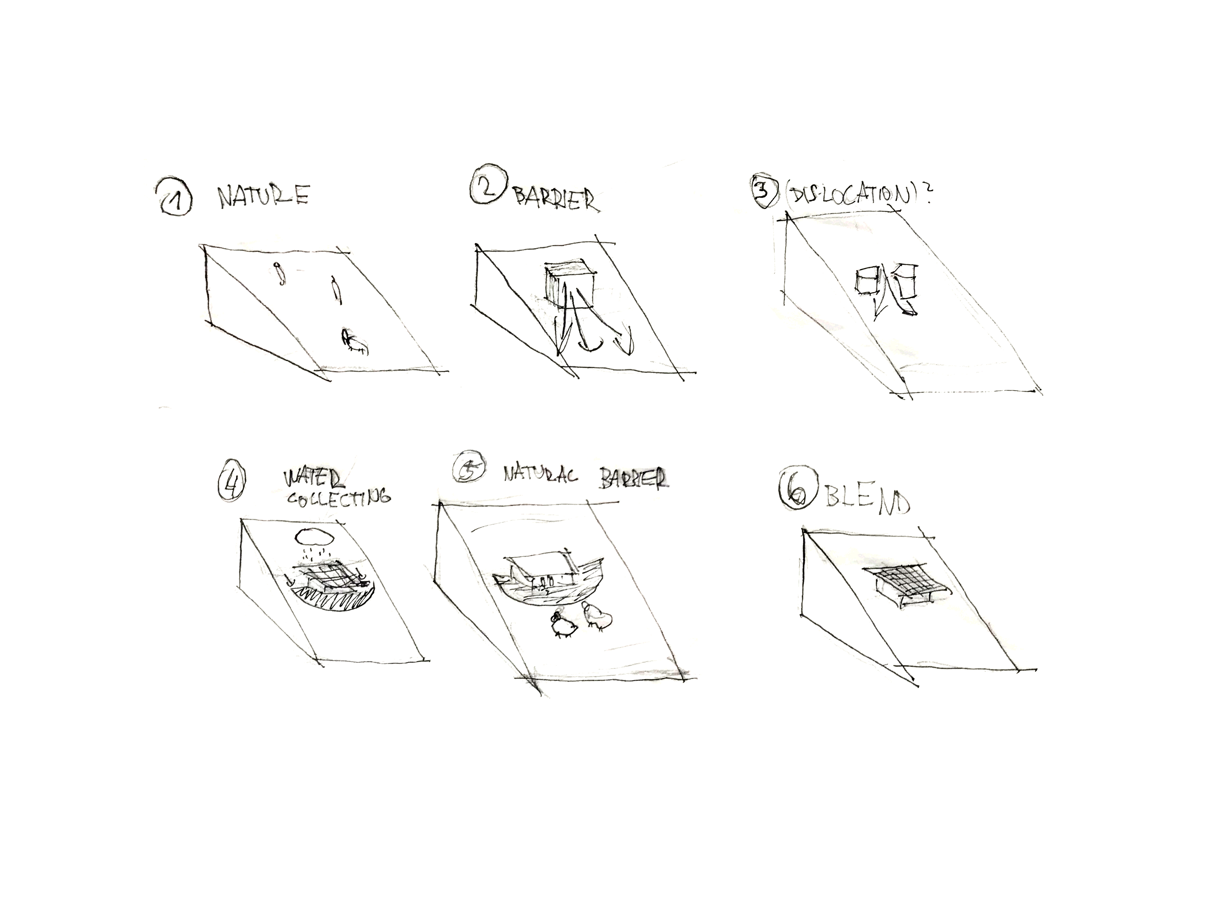 David4042021 03 09T09 48 57 575882