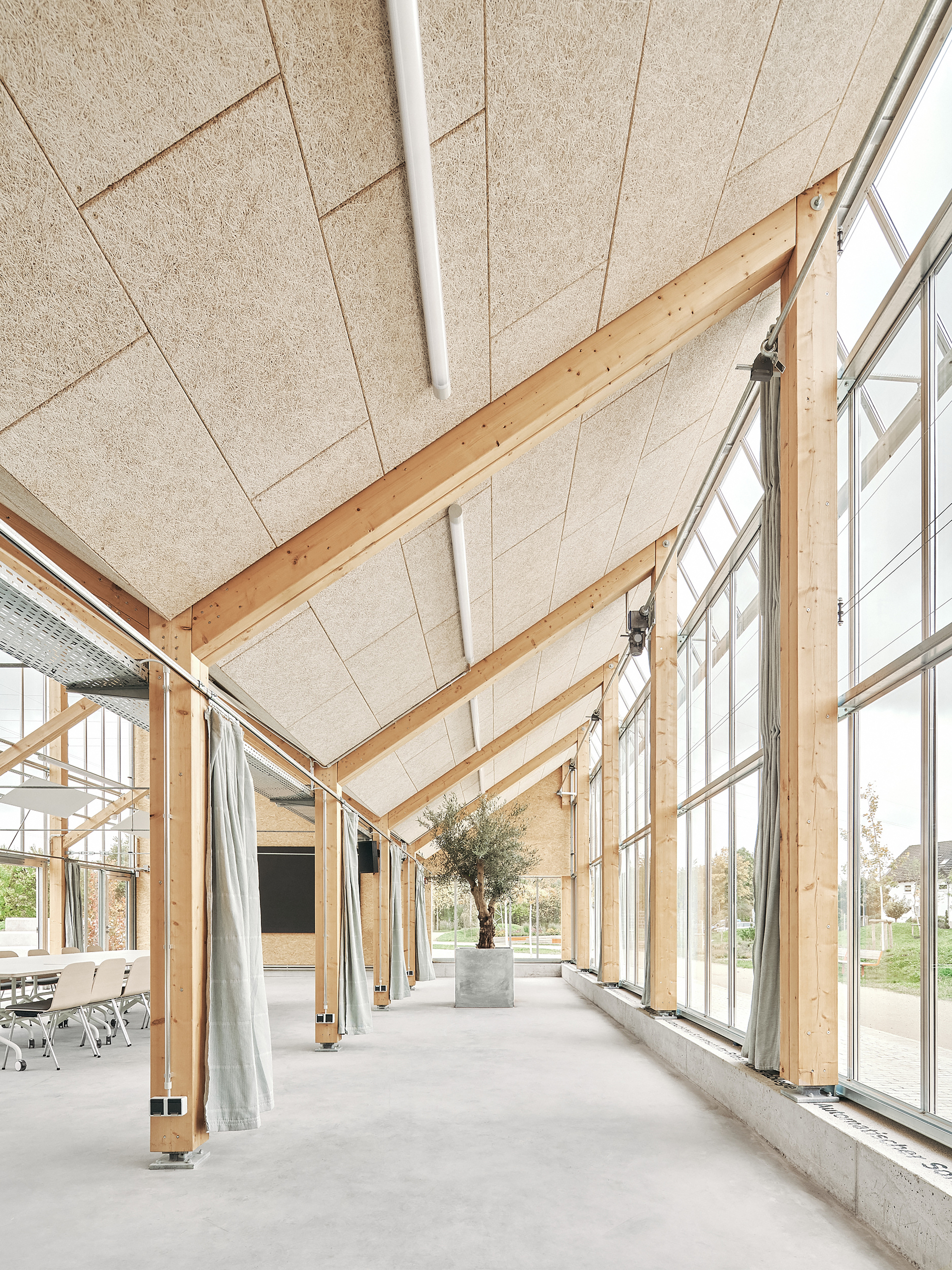Interior of the greenhouse hall with timber portal frames, fabric curtains and a potted olive