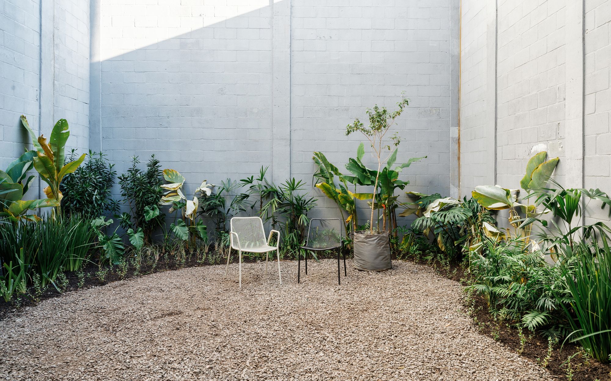 Enclosed courtyard with gravel floor and planted beds of banana leaves and grasses against white masonry walls