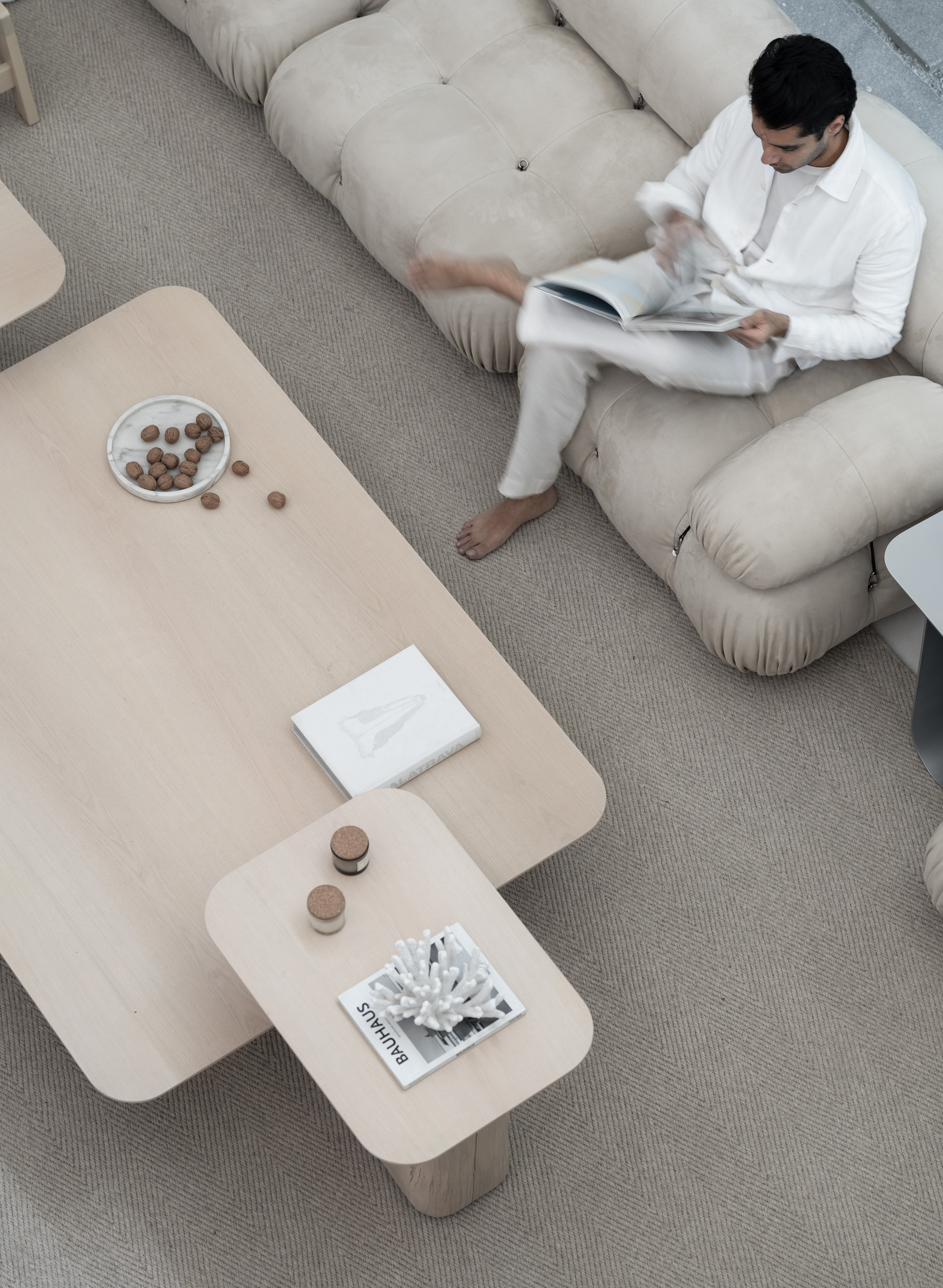 Overhead view of curved sofa and rounded wooden coffee tables arranged on a textured carpet
