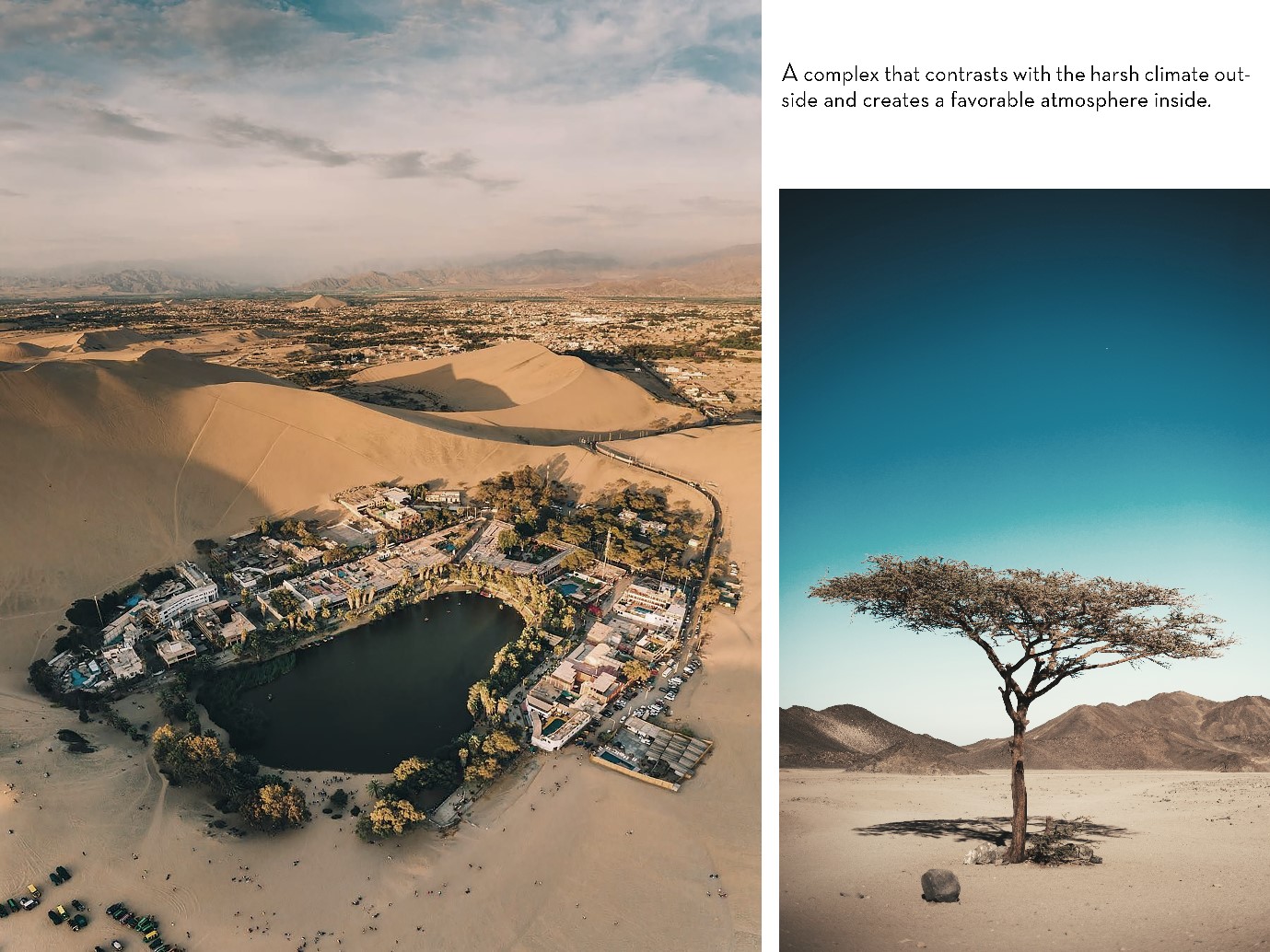 Hossein12021 07 26T14 48 08 764503