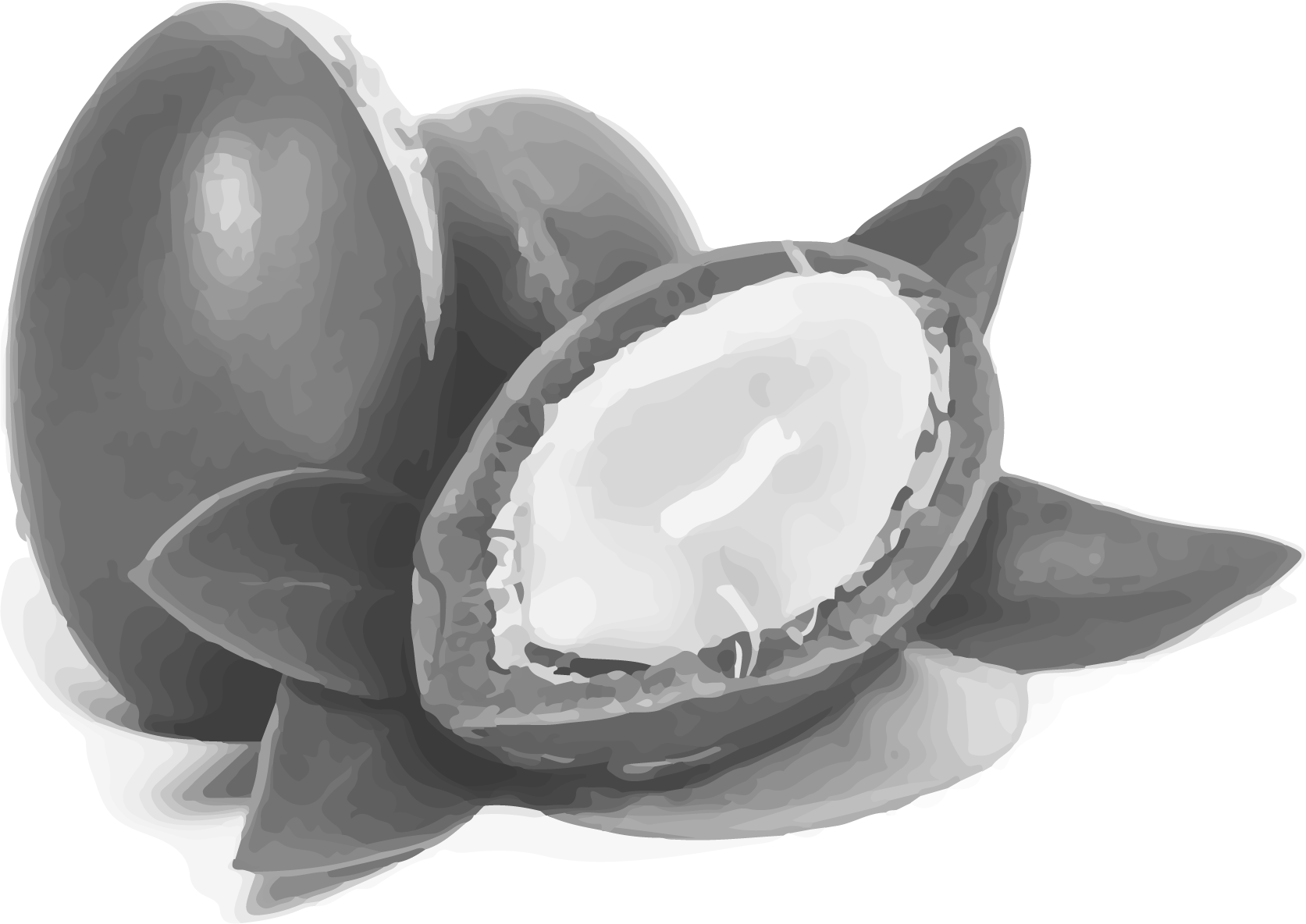 Indara.pilynn2021 07 27T13 31 03 898885