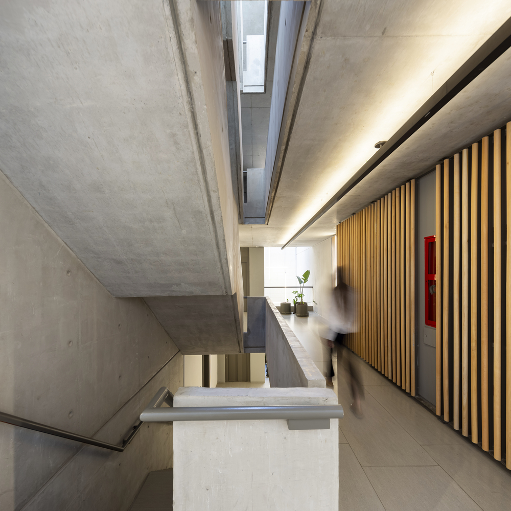 Image showcasing Lunara Apartments Expands Modern Living Options in Venice as Coastal ...