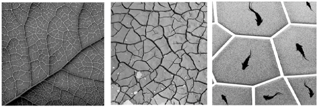 Jacek92022 06 20T17 52 59 836673