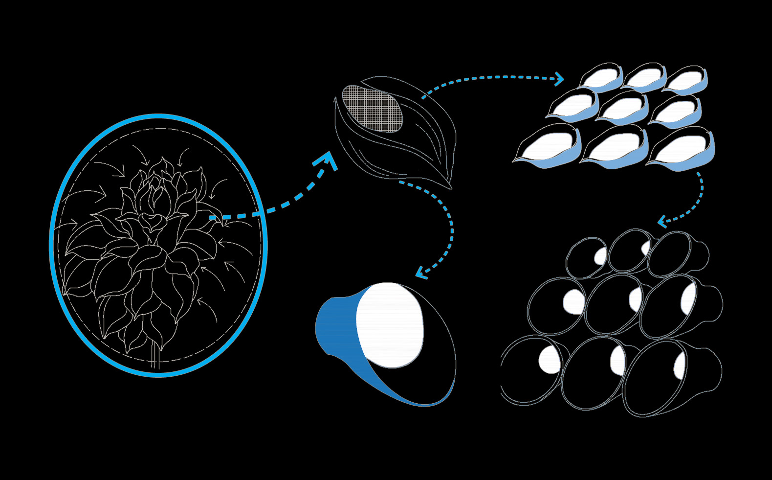 Jay4892021 12 14T12 17 23 049520