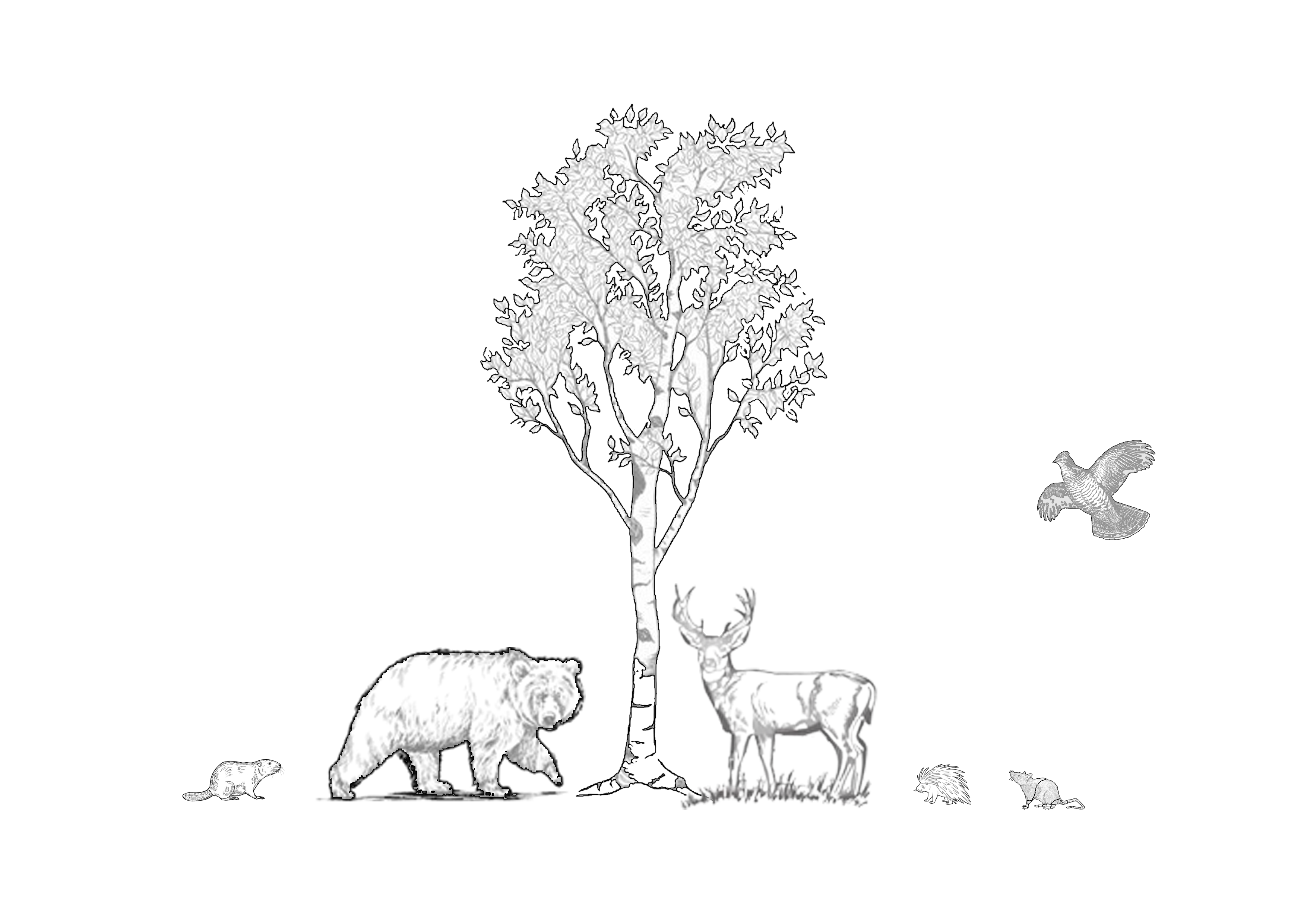 Joshua62022 09 05T17 56 19 987392