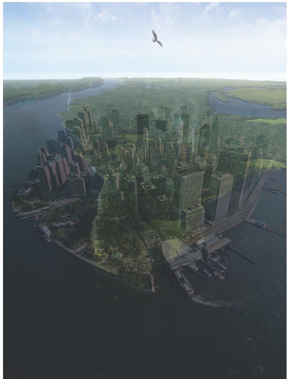 Mateo72020 12 18T19 29 40 394085