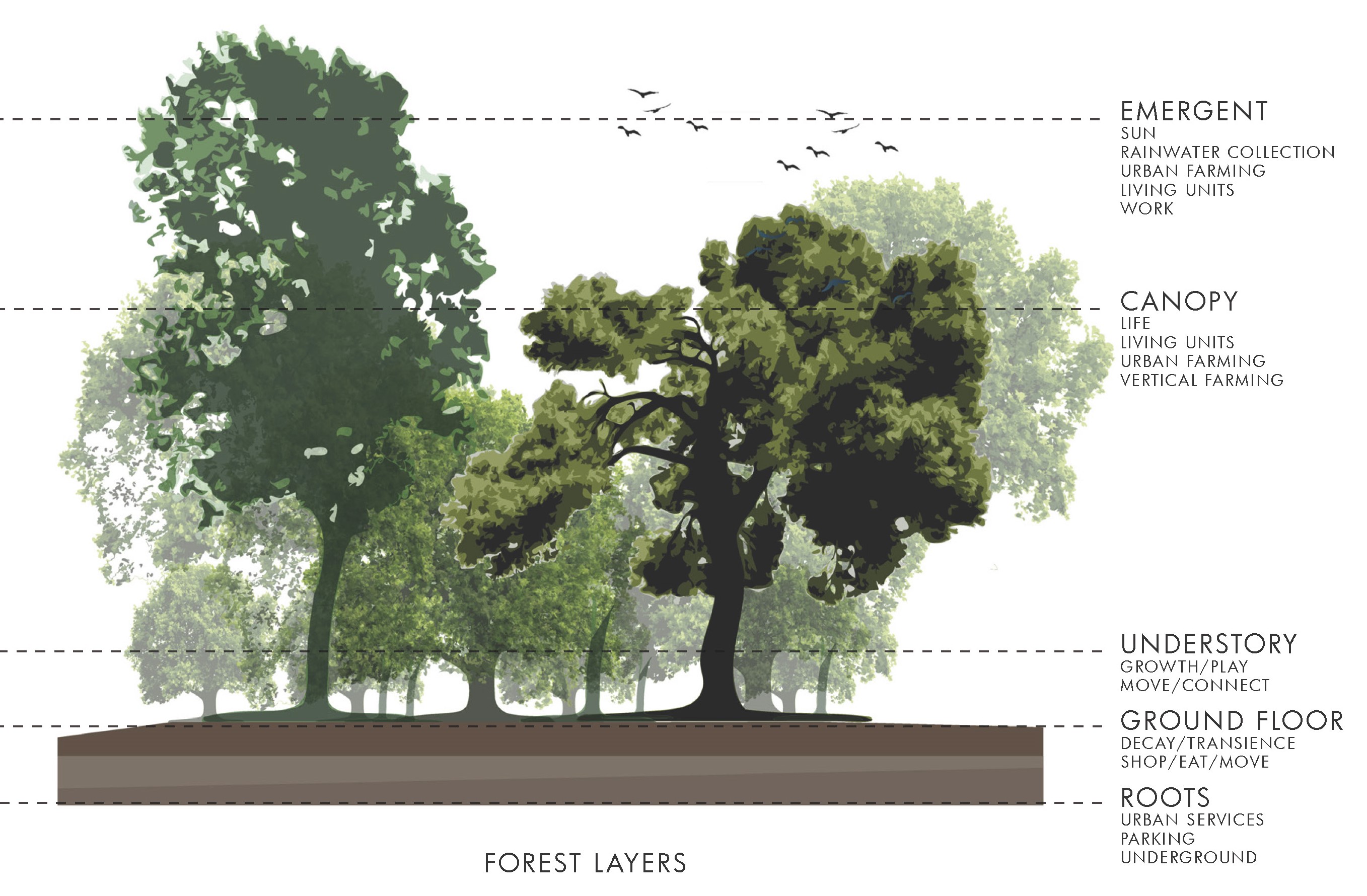 Mateo72020 12 18T19 35 09 206828