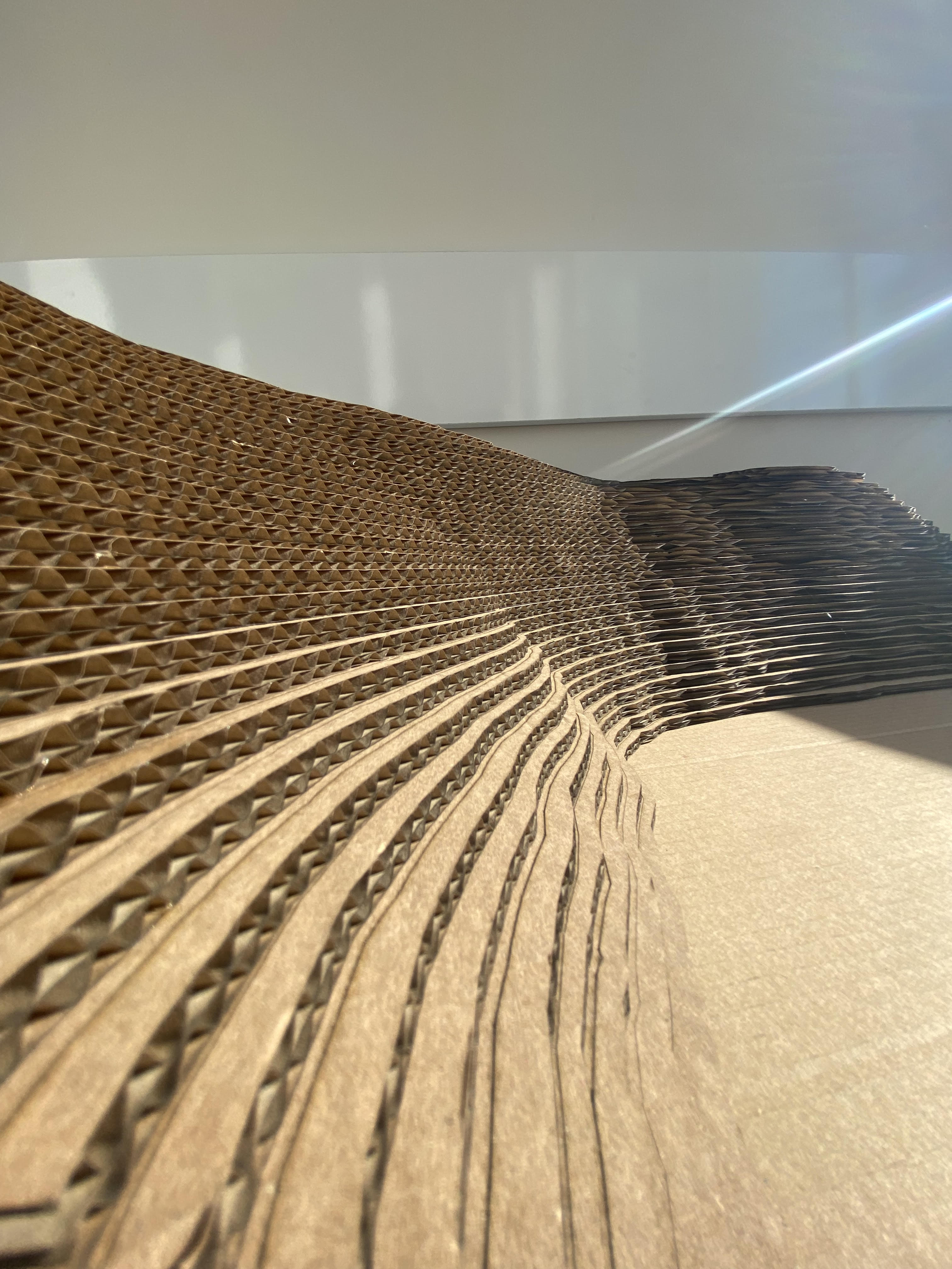 Meltem802023 01 24T12 54 42 807293