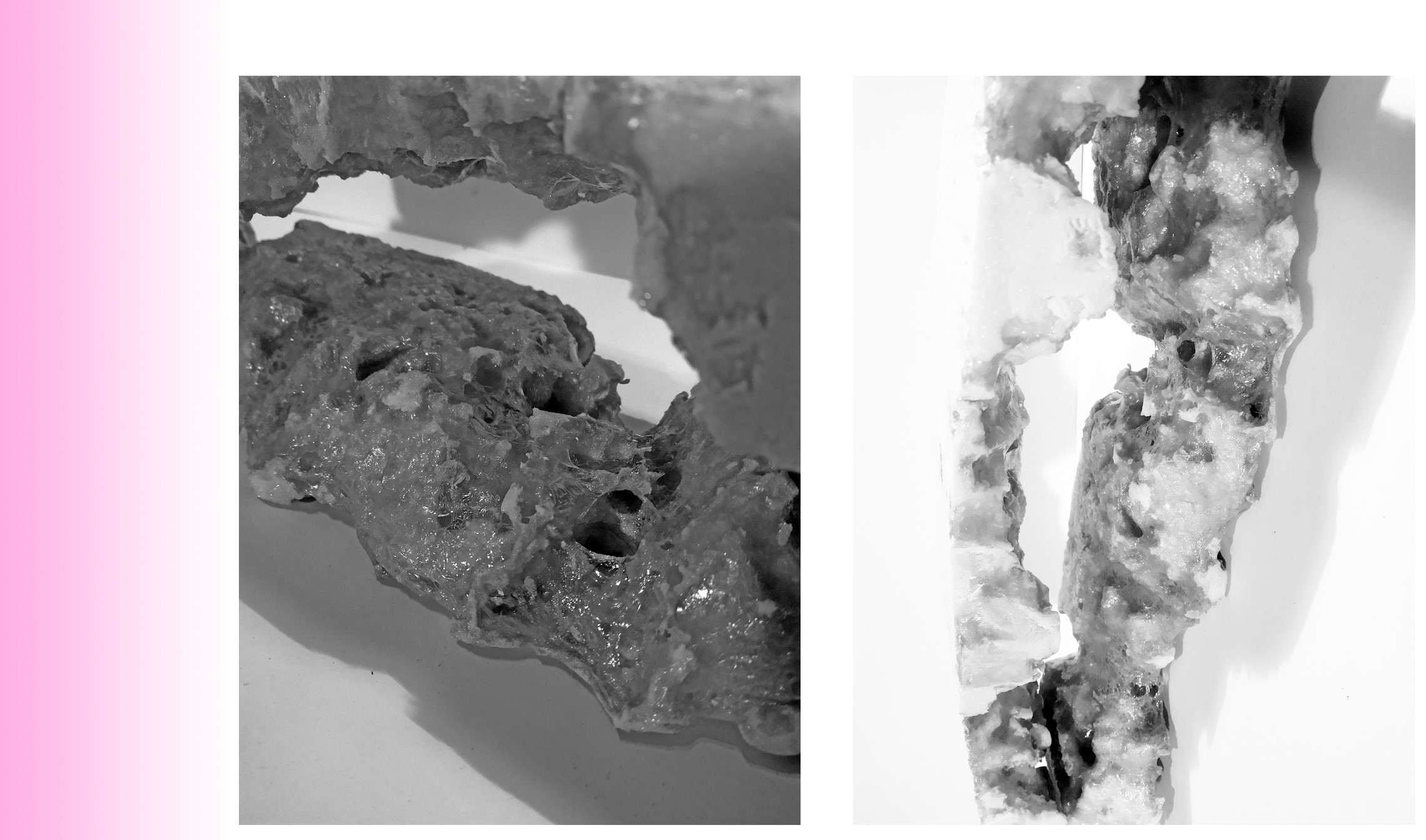 Mina0822021 01 26T19 09 57 070899