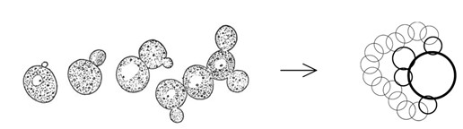 Natalia2282022 07 05T12 46 57 523566