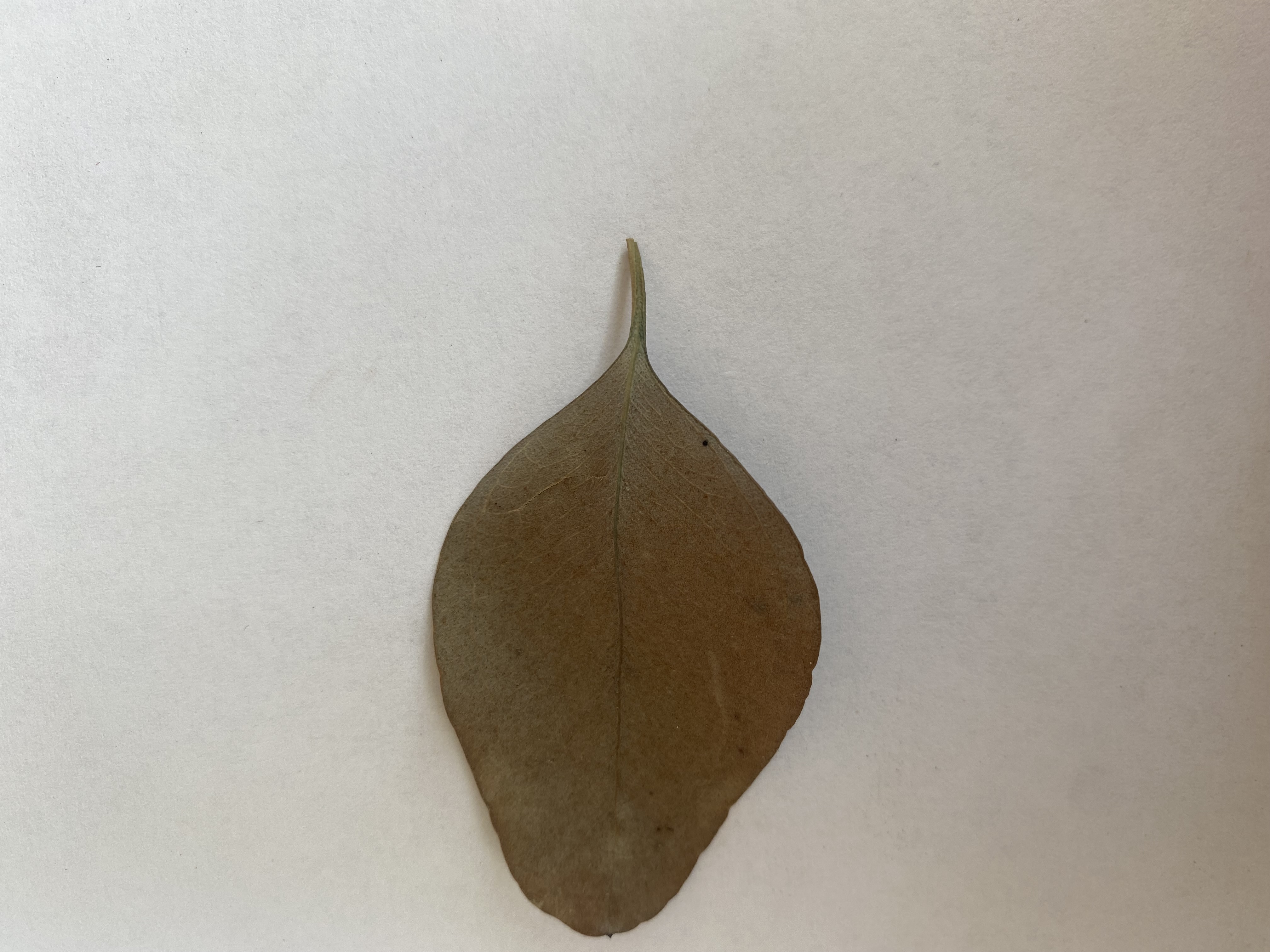 Nikki662021 07 19T03 39 18 177563