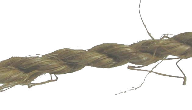 Nikki662021 07 19T03 53 05 649881