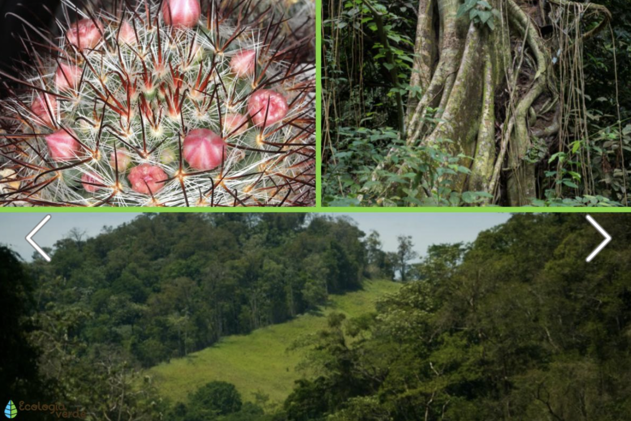 Paolaprieto122022 09 30T16 01 09 079467