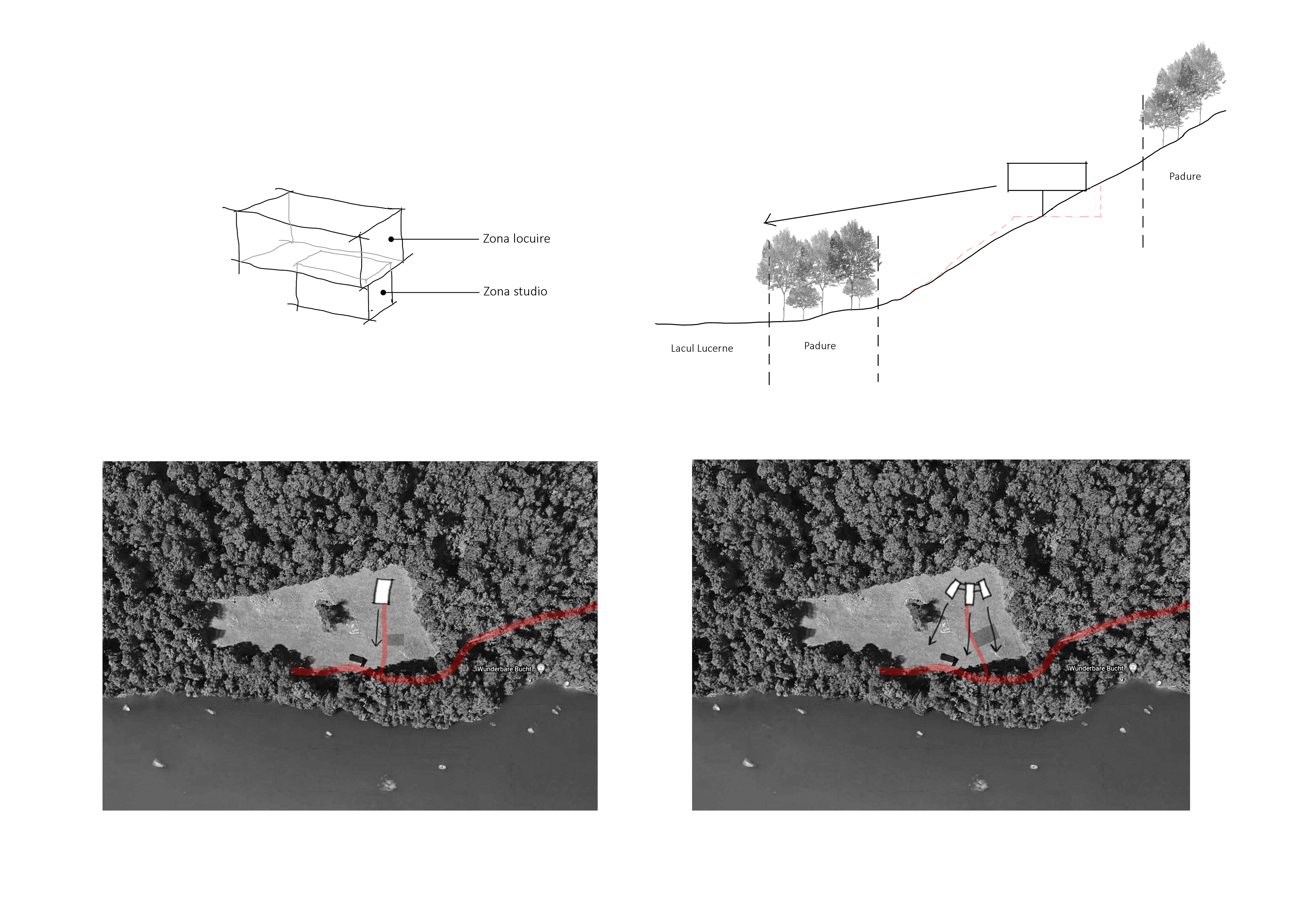 Ruxandra02022 01 09T09 46 44 734549