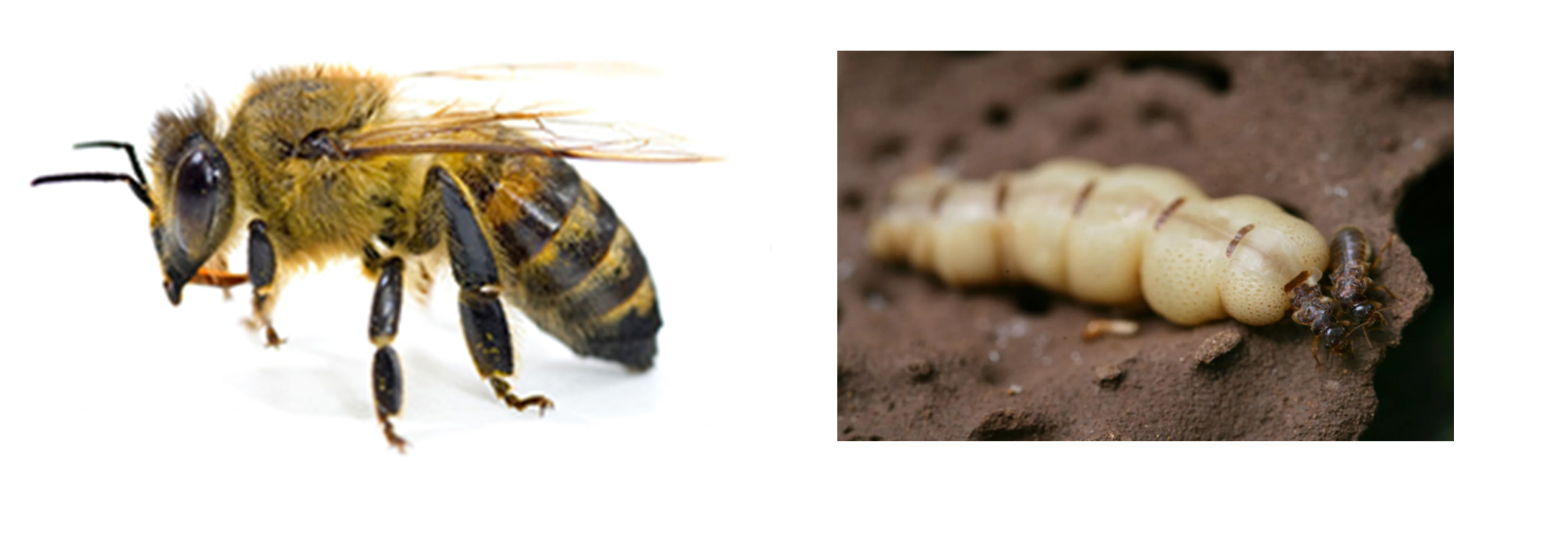 Sara4692021 12 24T07 36 55 796484