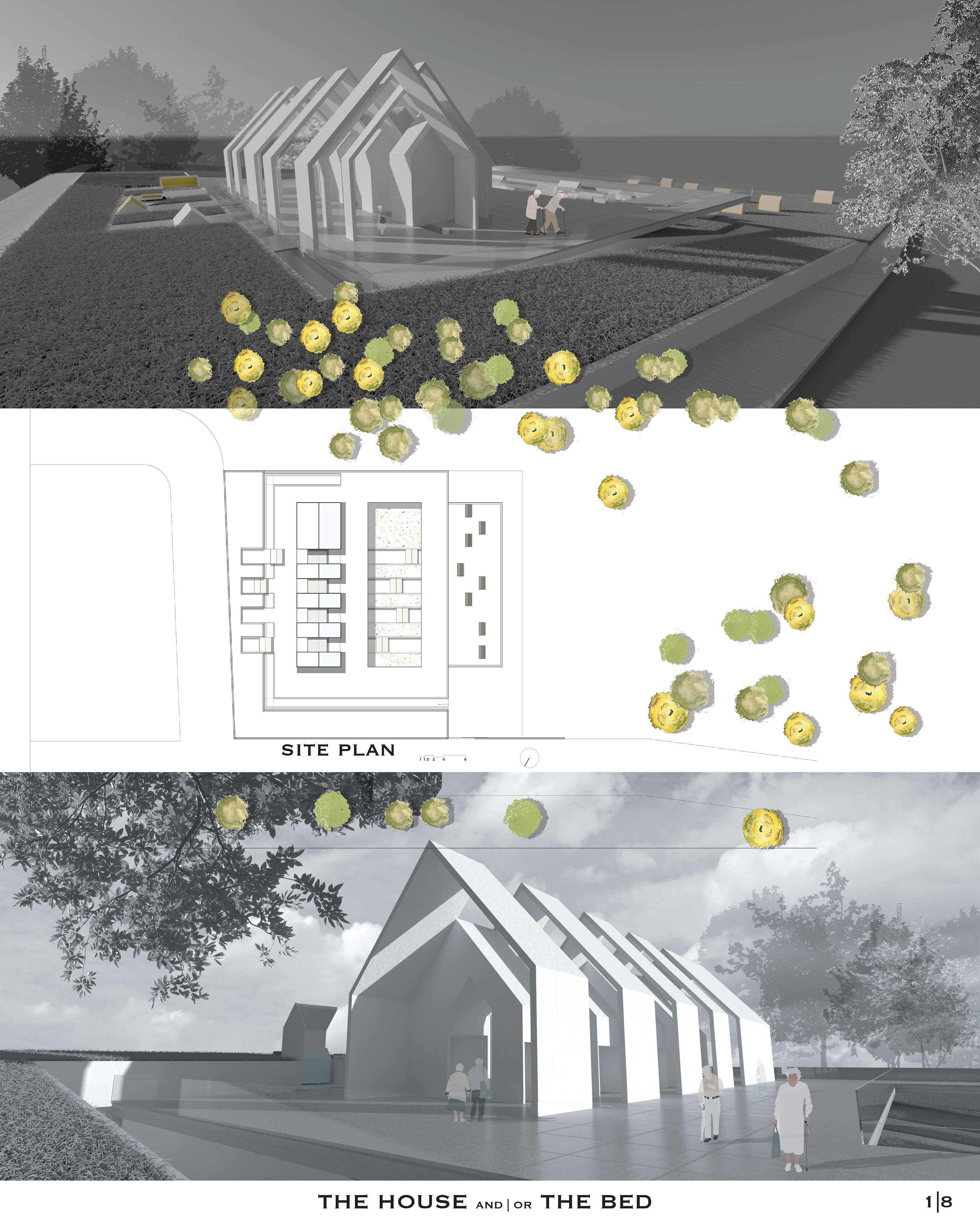 Team212021 06 06T05 51 43 798379