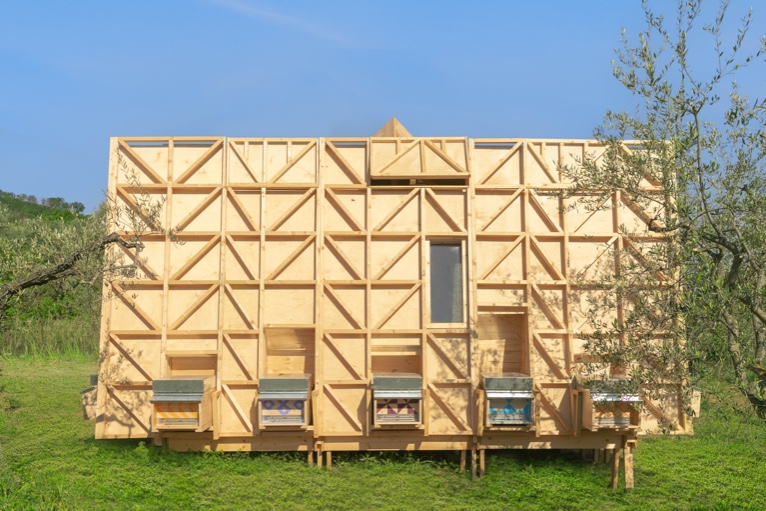 Team2122023 02 24T06 09 20 788118