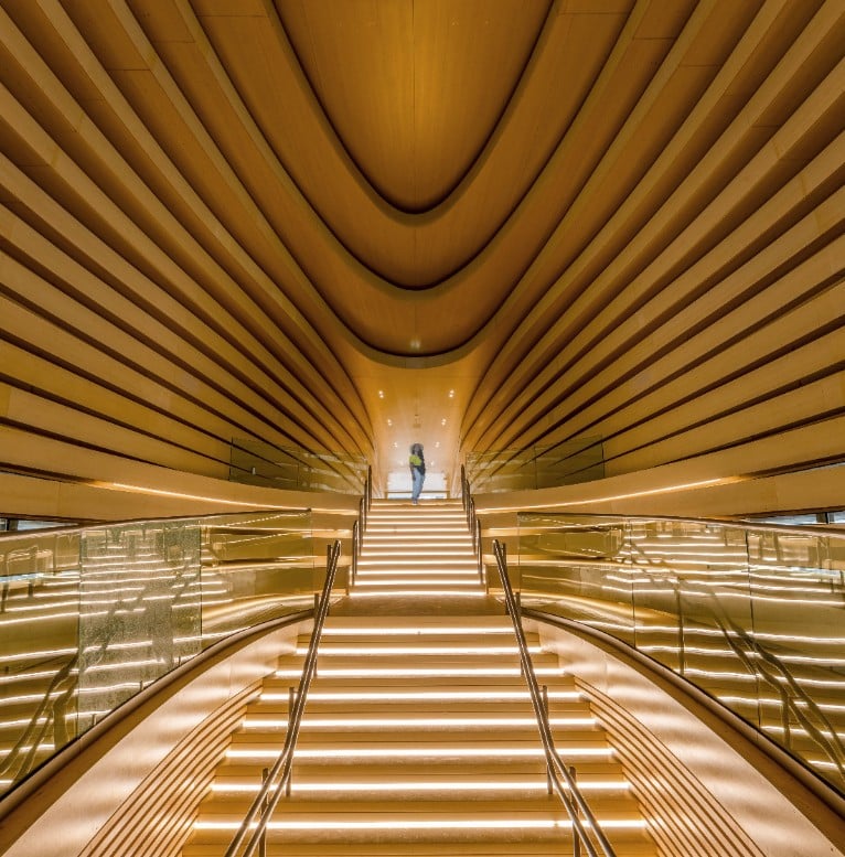 Team2122023 03 22T05 38 20 063831