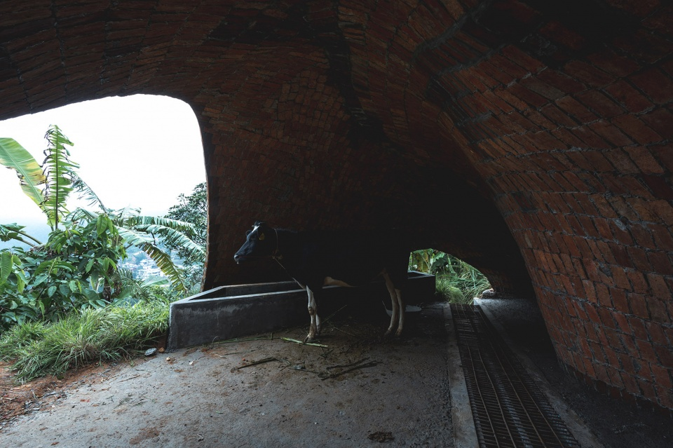 The interior of the shed © Althaf AR