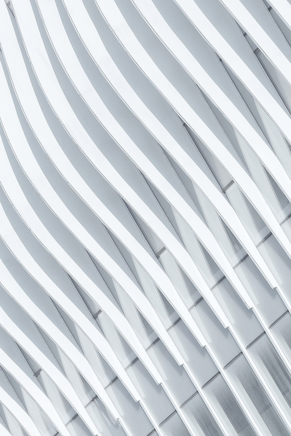 white curved aluminium plate ©Meng Qingwei, Xie Yilun