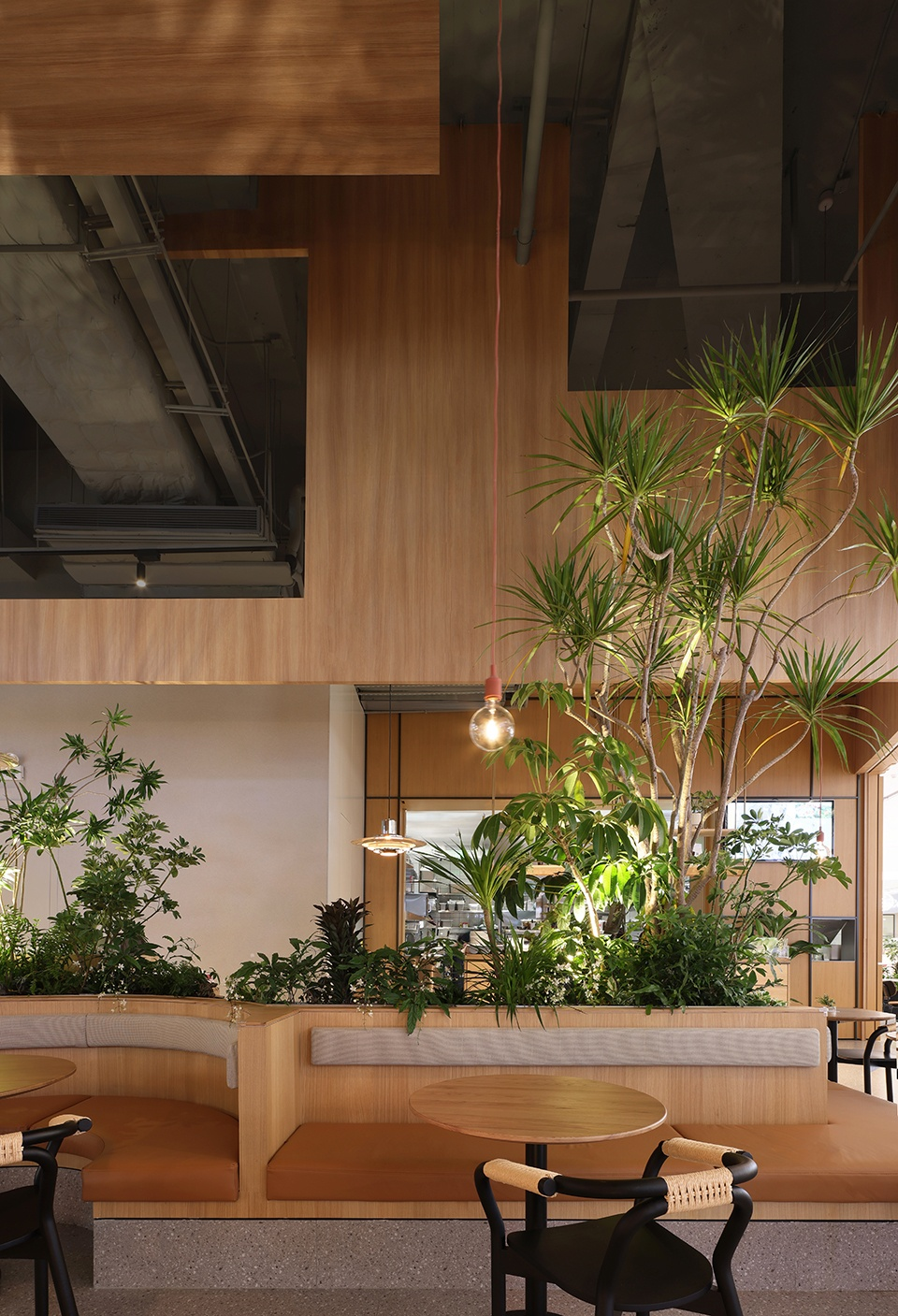 The "oasis" located in the city © Xiao Le