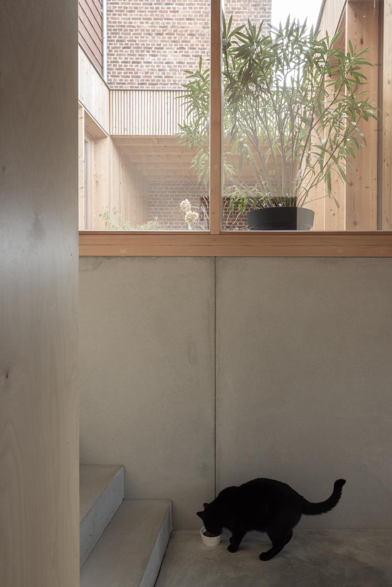 @NICOLAS DA SILVA LUCAS