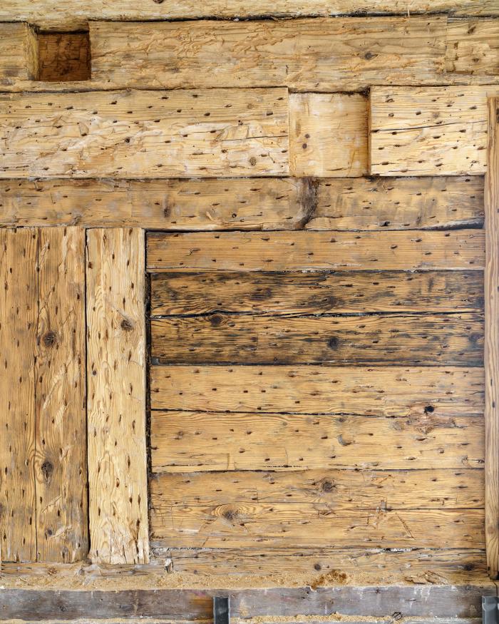 @SEBASTIAN SCHELS - @SEBASTIANSCHELS