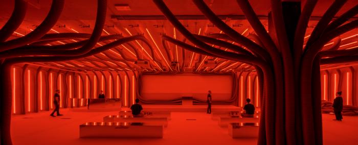 @JAVIER DE PAZ GARCÍA