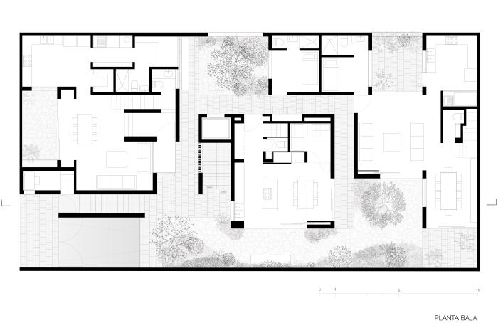 @MEIR LOBATON CORONA