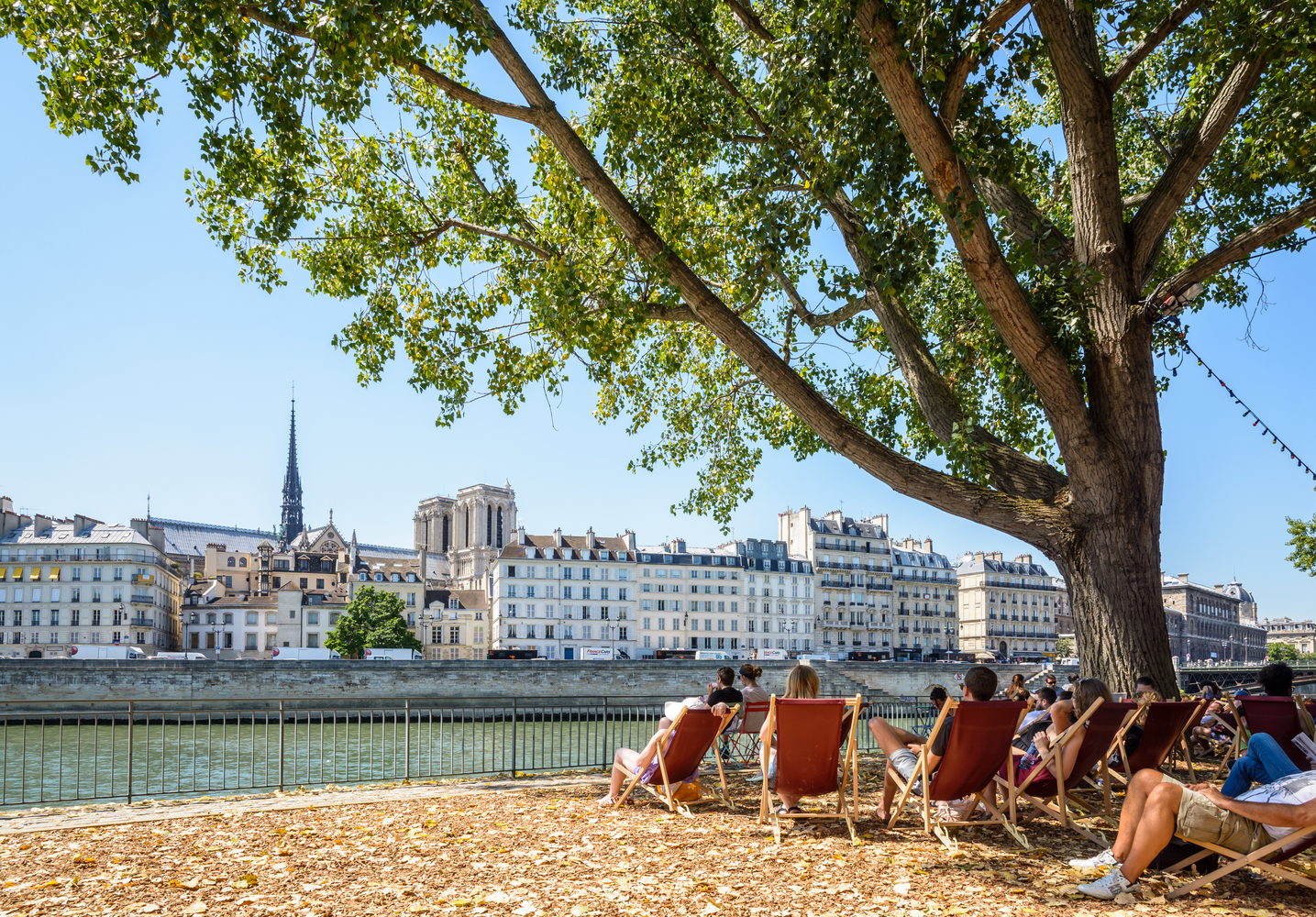 © olrat via Shutterstock