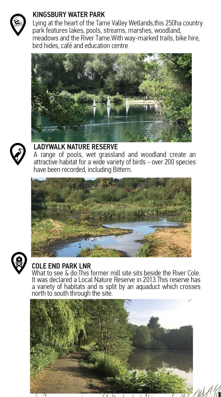 Kingsbury Water Park: A tranquil wetland oasis.