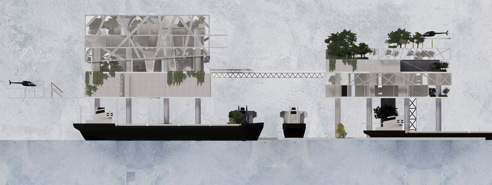 Elevated Ecosystems: Connecting Sky, Sea, and Sustainability