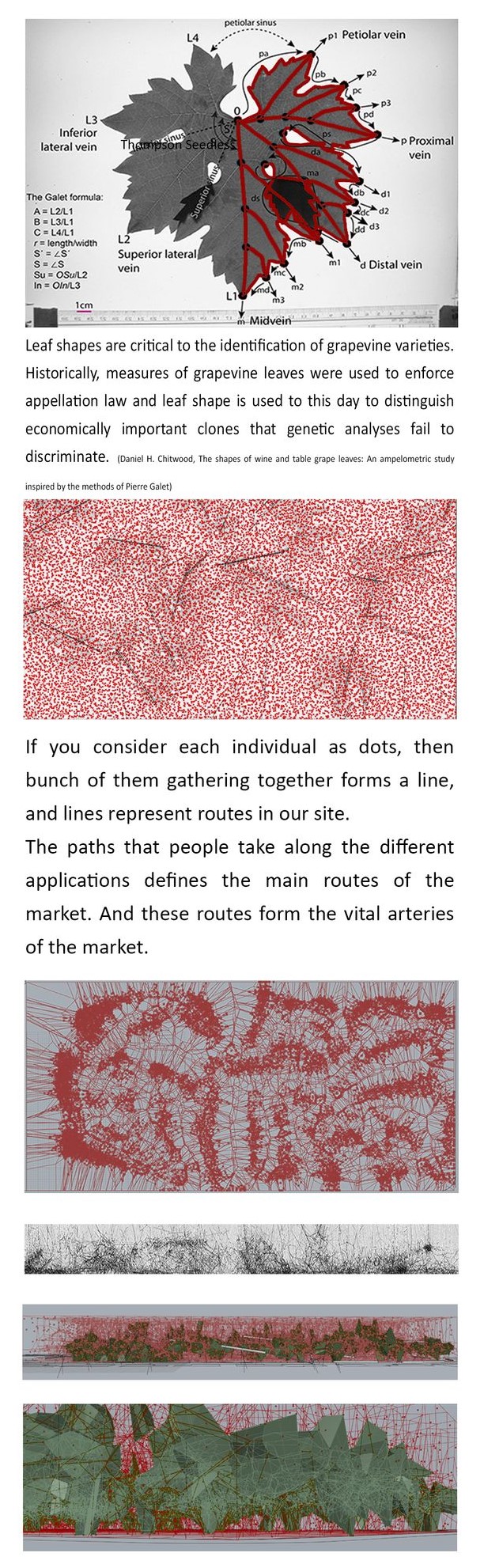 Mapping the veins of community and commerce.