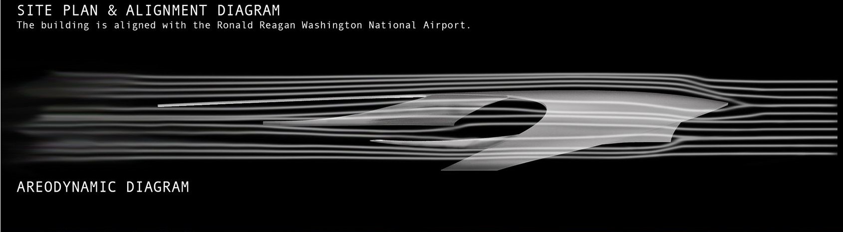 Fluid Dynamics: Architectural Elegance in Motion.