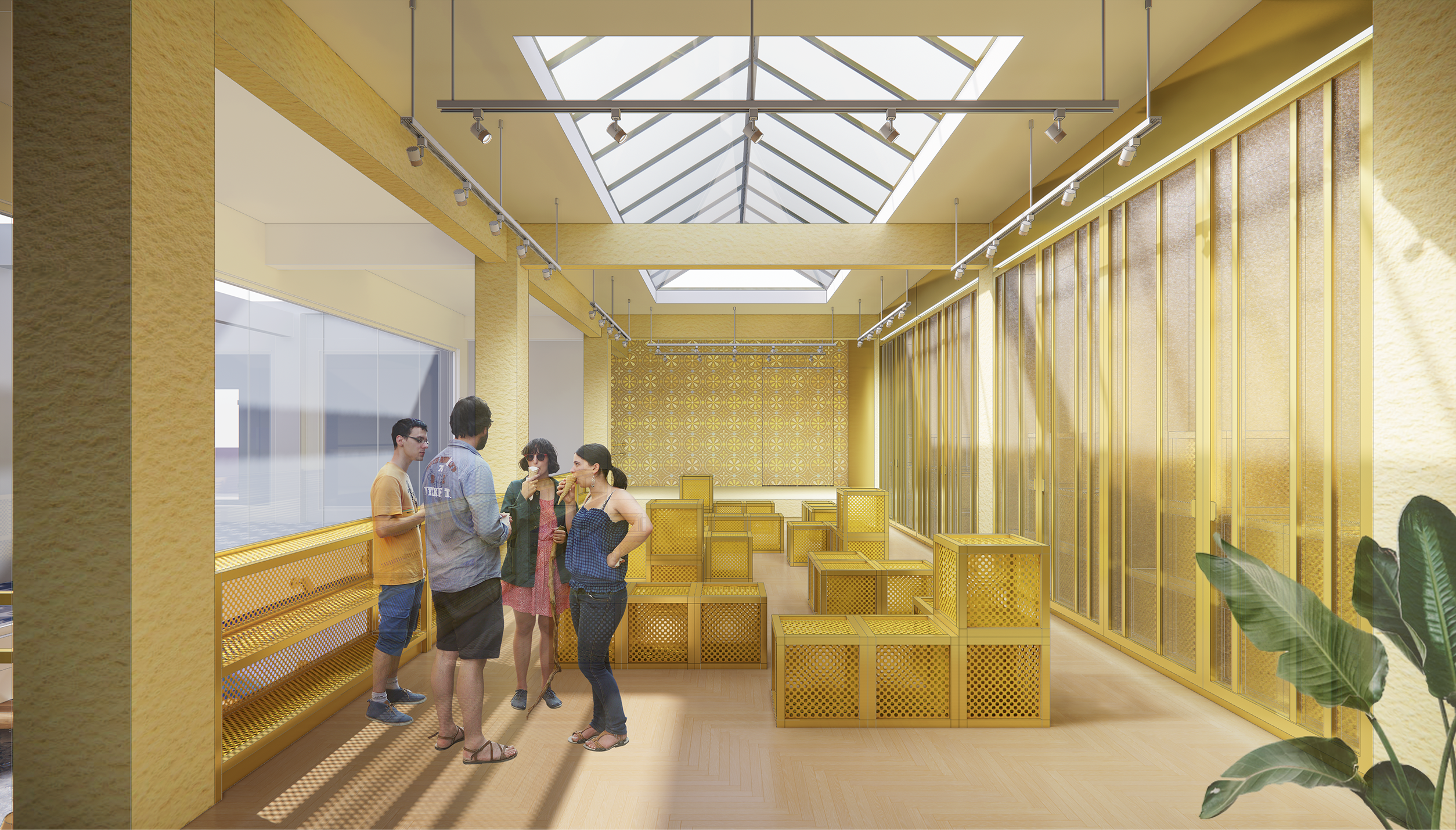 <i>the multi- functional area</i>