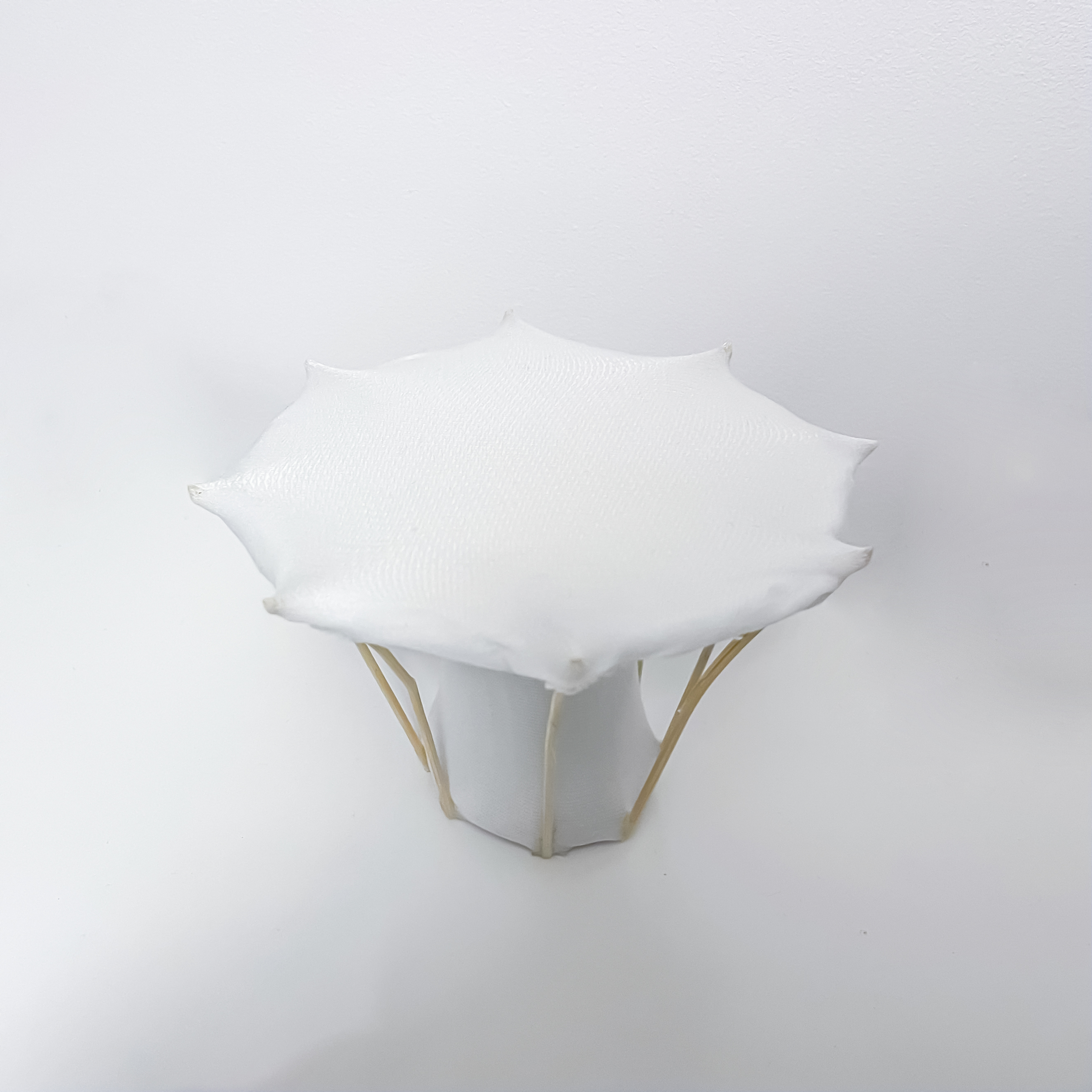 Zuzanna12022 06 17T23 55 39 435320